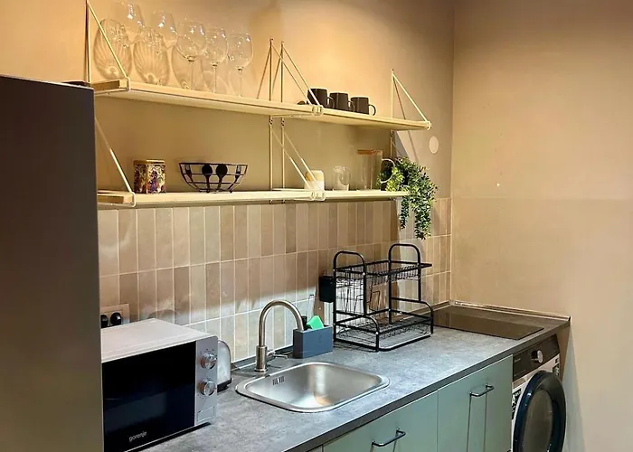 Unexpected Historical - & Quiet 公寓 *